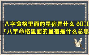 八字命格里面的星宿是什么 🐅 「八字命格里面的星宿是什么意思」